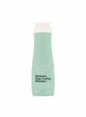 Daeng Gi Meo Ri Охлаждающий шампунь для жирной кожи головы Minticcino Deep Cooling Shampoo, 500 мл